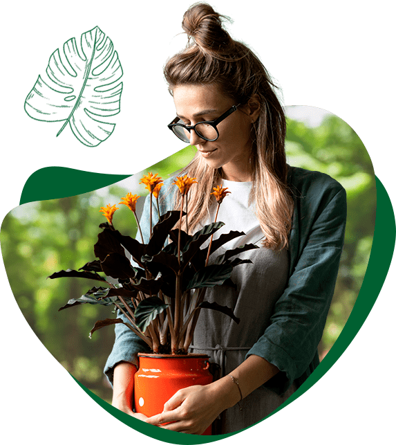 Mulher segurando vaso de plantas. Paisagismo.